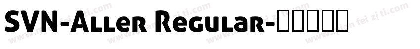 SVN-Aller Regular字体转换